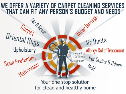 professional carpet cleaning service